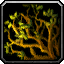 Spice Tree
