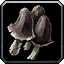 Black Mushroom