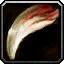 Teeth
