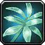 Mountain Silversage