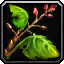Bloodthistle