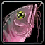 Bloodfin Catfish